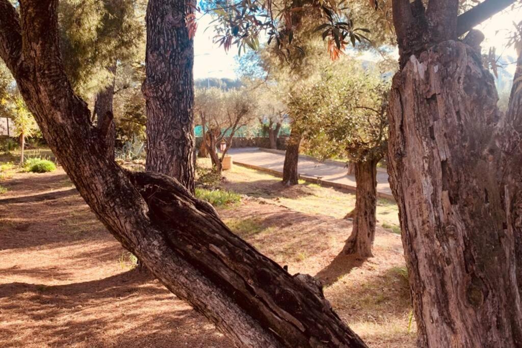 La Casa Palmito Appartement Moderne Cote Mer Saint-Cyr-sur-Mer Εξωτερικό φωτογραφία